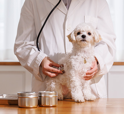 컨설팅 바로가기