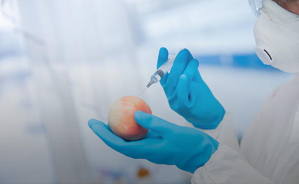 소재연구 바로가기