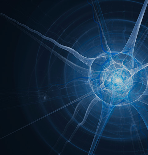 Products 바로가기