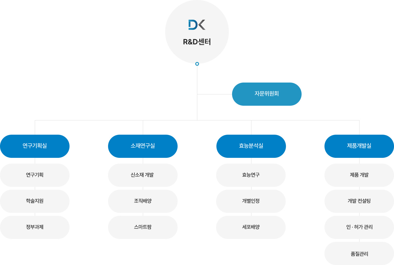 닥터공랩 R&D 조직도